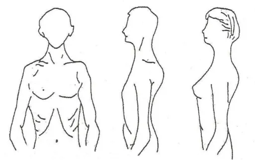 Şekil 1. Astenik Tipler (GürĢahbaz, 2001, s.28) 
