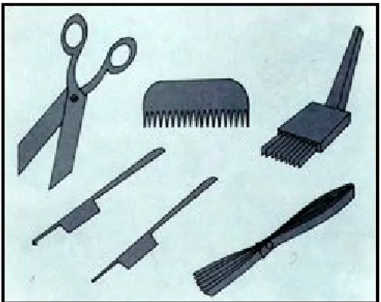 Şekil 11. Kirkitli dokumalarda kullanılan araçlar (www.siskoosman.com) 