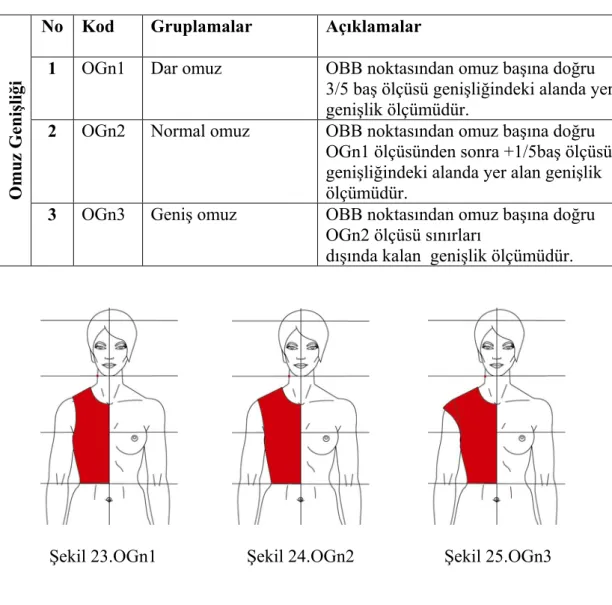 Tablo 6. Gömlek/Bluz, Elbise, Ceket Modelleri Üzerinde Belirlenen Omuz  Genişliği Ölçümlendirme Tablosu 