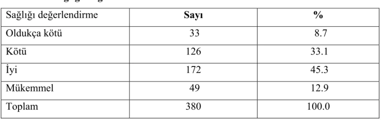 Tablo 4.8. Sağlığı Değerlendirme Durumu                                            n=380 