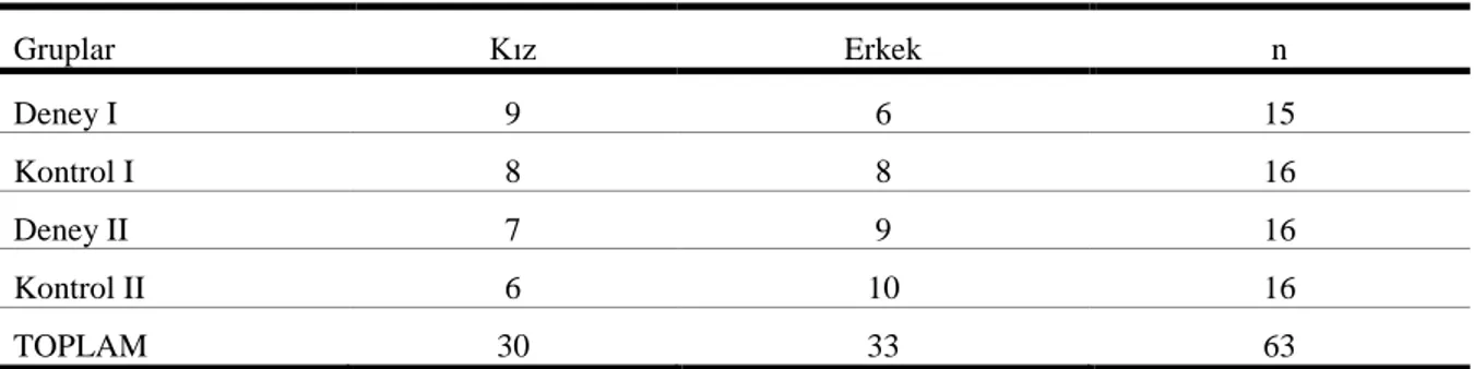 Tablo 9. Deney ve Kontrol Grubu Çocuklarının Cinsiyetlerine Göre Dağılımı 