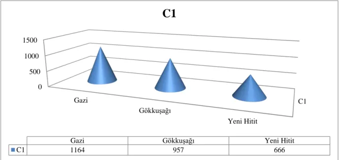Şekil 5 C1 Seviyesindeki Ders Kitapları 
