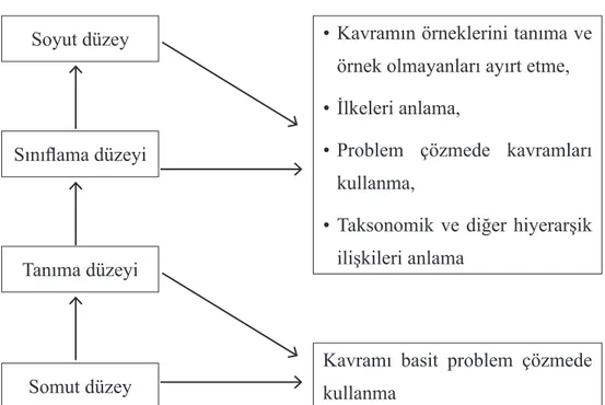 Şekil  6:  Çeşitli  Aşamalarda  Öğrenilen  Kavramların  Kullanımları  (Senemoğlu,  2005:  519)