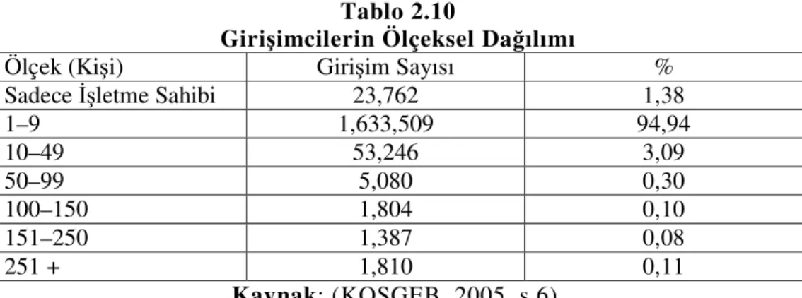 Tablo  2.9’da  görüldüğü  gibi  Türkiye’deki  toplam  işletme  sayısı  içindeki  payına göre ilk beş içerisinde yer alan işletmelerin % 94,5‘i ticaret, imalat, ulaştırma,  depolama,  haberleşme,  otel  ve  lokantalar,  diğer  hizmet  faaliyetler  ile  gayr