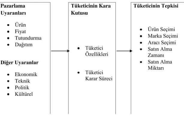 ġekil 3.1.: Tüketici DavranıĢı Modeli  Kaynak: (Akın, 1998: 24). 