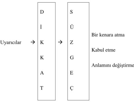 ġekil 3.6. Algılama süreci  Kaynak: Ġslamoğlu, 2006: 139 