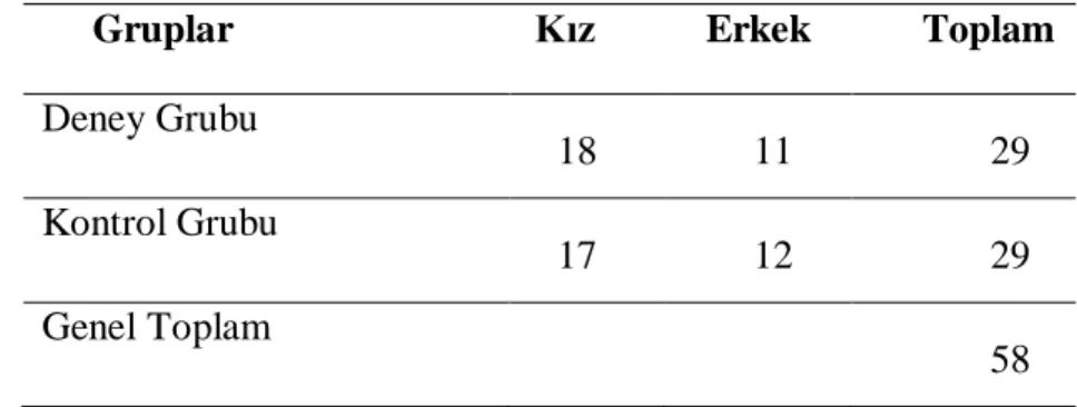 Tablo  4‟te  araĢtırmaya  katılan  deney  ve  kontrol  grubu  öğrencilerinin  sayıları  ve  cinsiyetlerine göre dağılımı verilmiĢtir