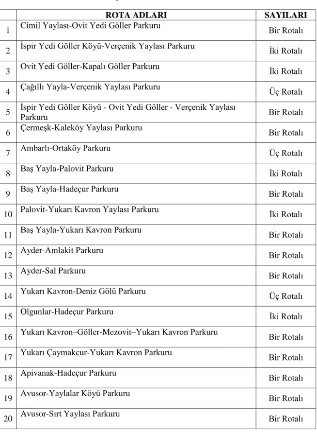 Tablo  2 de kaynak kiĢilerin  yapmıĢ oldukları değerlendirmelerde 12 tane bir rotalı  parkur  belirlerken,  5  adet  iki  rotalı  parkur,  3  adet  üç  rotalı  parkur  belirledikleri  tespit  edilmiĢtir