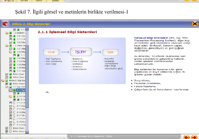 Şekil 8. İlgili görsel ve metinlerin birlikte verilmesi-2 