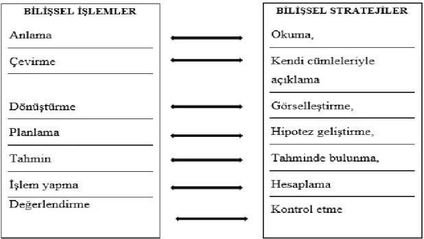 Şekil 2. Bilişsel İşlemler ve Bilişsel Stratejiler 