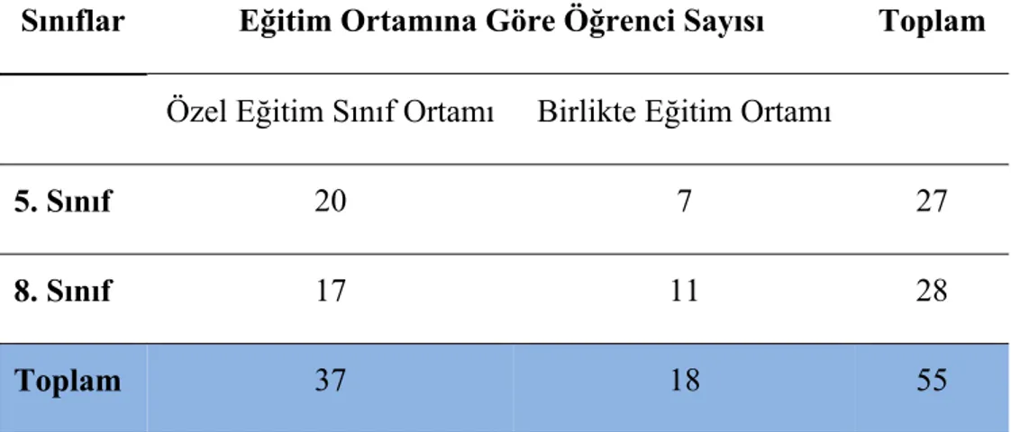 Tablo 1. Öğrencilerin Sınıf Düzeylerine Göre Eğitim Ortamlarındaki Sayısı 