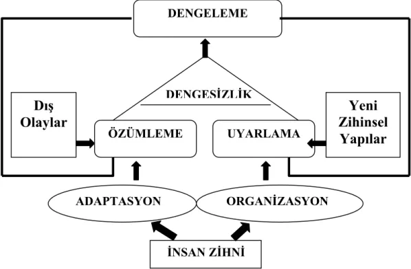 Şekil 1.4: Piaget’ye Göre Öğrenmenin Öğeleri 