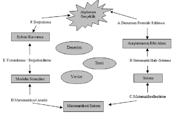 Şekil  10.  Blomhoj  ve  Jensen(2006)‟ın  modelleme  döngüsü  modeli.  “  Bukova  Güzel, 