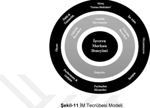Şekil 11 İM T ecrübesi Modeli