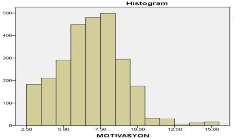 Şekil 4.5. Motivasyon Histogram Grafiği 