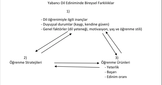 Şekil 1: Dil Ediniminde Bireysel Farklılıklar   