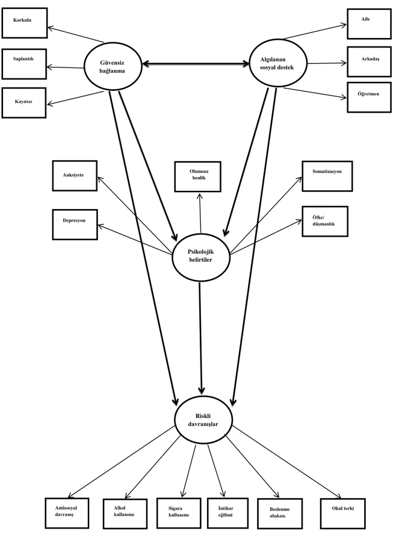 Şekil 1: Hipotez Model 