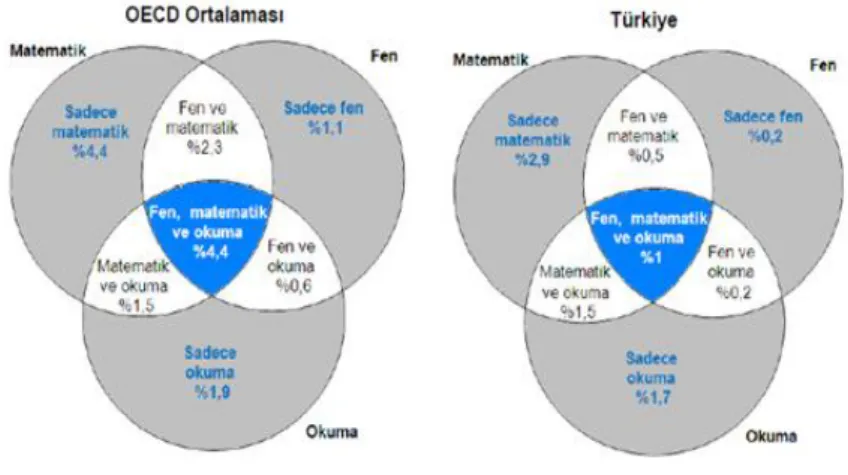 ġekil 6: Okuryazarlık Ortalamaları 