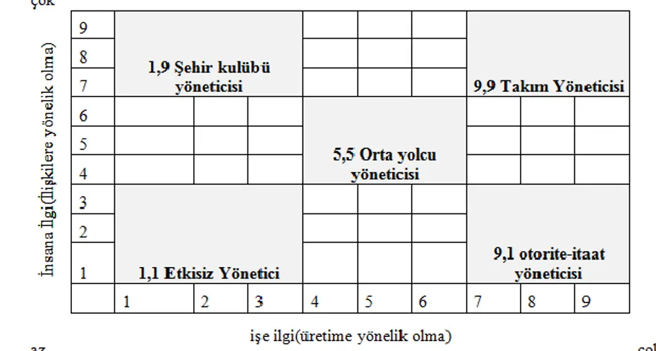 Şekil 1 .Yönetim Izgarası