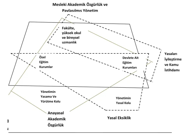 Şekil 1: Akademik Özgürlüğe İlişkin İlkeler ve Aktörler  