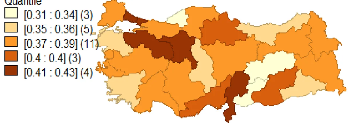 Şekil 8. Düzey 2 Bölgelerinde Gini Katsayısının 2003 Yılındaki Dağılımı 