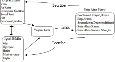 Şekil 16. Tüketici Davranışlarına Etki Eden Etkiler 