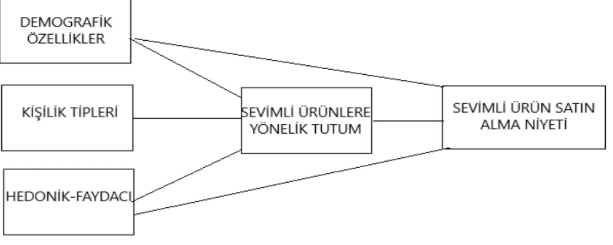Şekil 18. Araştırma Modeli 