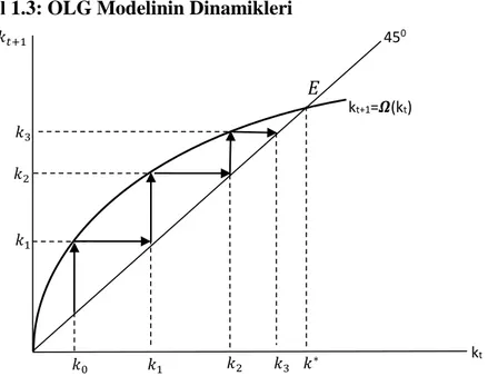 Şekil 1.3: OLG Modelinin Dinamikleri 