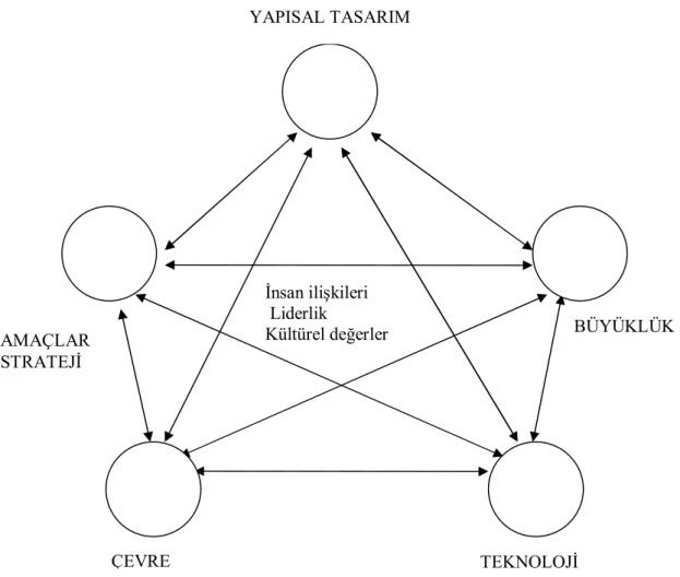 Şekil 2.1. Yapıyı etkileyen durumsal değişkenler 