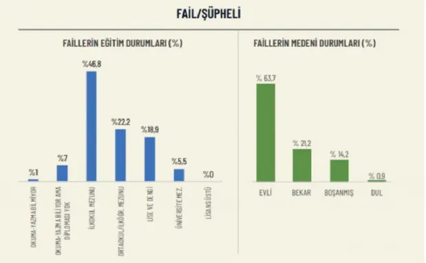 Şekil  4.   Faillerin Eğitim ve Medeni Durumları (%) (Taştan ve Yıldız, 2019, 17) 