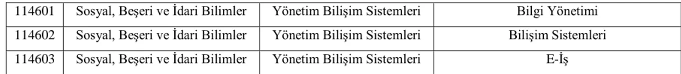 Tablo 4. Türkiye’de Üniversiteler Arası Kurulun YBS Bilim Alanı Üzerine  Ekledikleri Alt Dallar Listesi 