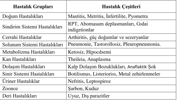 Tablo 4. Hastalık Grupları ve Hastalık Çeşitleri 