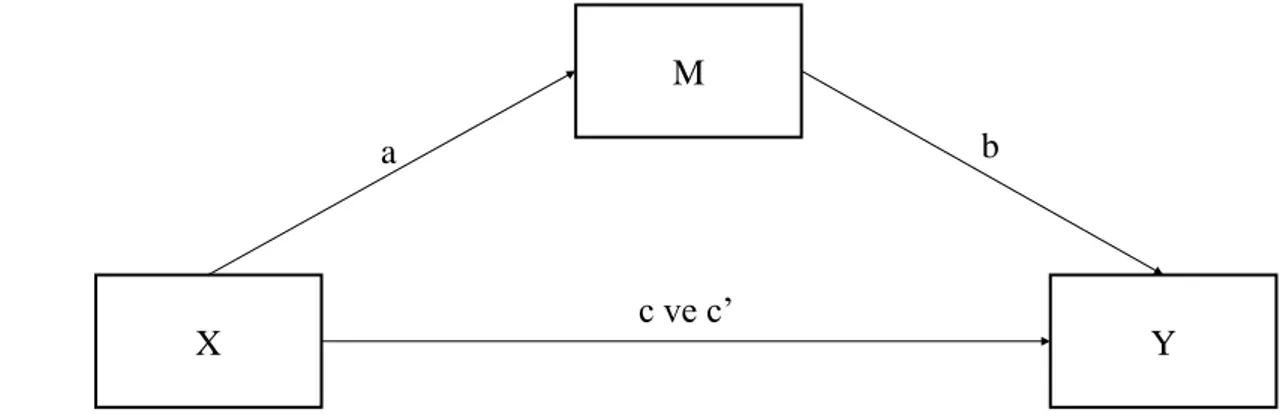 Şekil 3.1 Aracı değişken modeli 