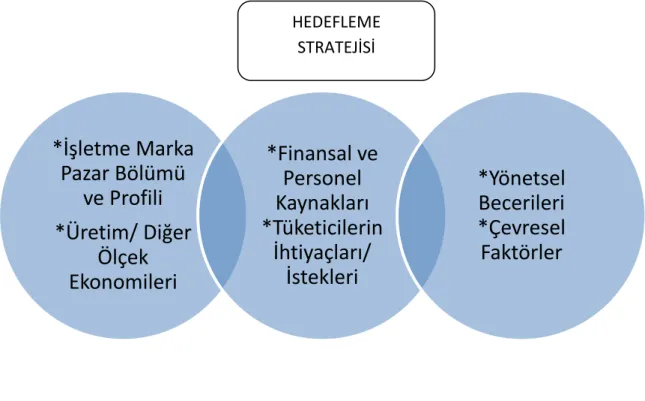 Şekil 4: Hedef Pazar Seçimini Etkileyen Faktörler  