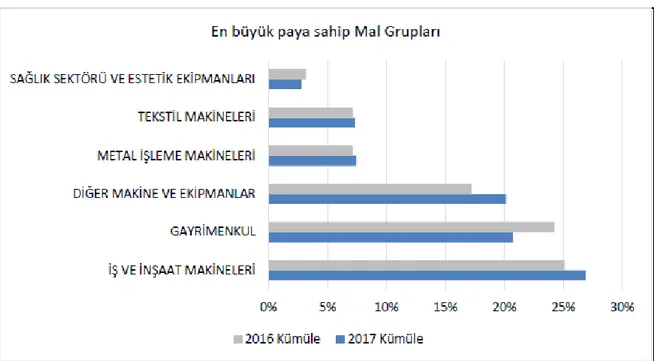 Şekil 1: Kiralama İşlemine Konu Olan Varlık Grupları 