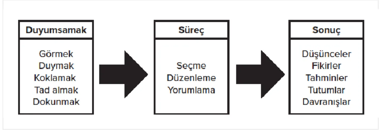 şekil 8: Algılma Süreci 