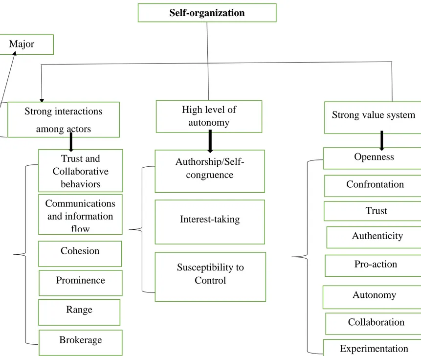Figure 1: A Conceptual Framework for Measuring Self-organization Adapted from Carapiet  (2006), Weinstein et al (2012) and Rao T.V