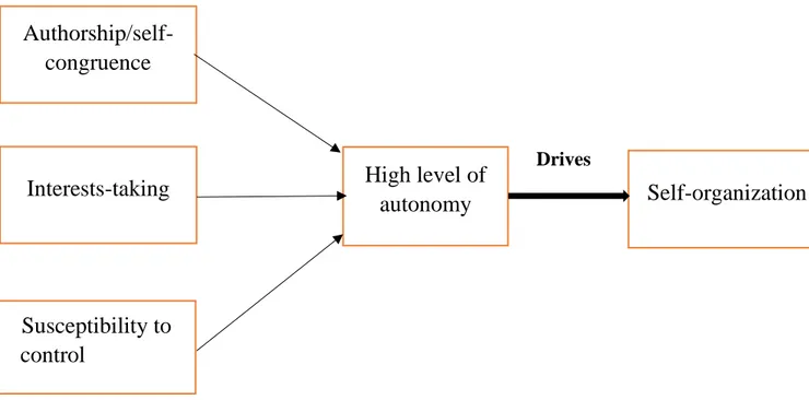Figure  3:  Conceptual  framework  for  measuring  high  level  of  autonomy  adapted  from  Weinstein et al (2012)  