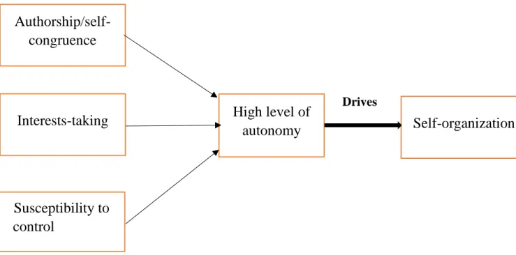 Figure  3:  Conceptual  framework  for  measuring  high  level  of  autonomy  adapted  from  Weinstein et al (2012)  