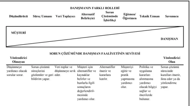 Şekil 1. Yönlendirici Olan ve Yönlendirici Olmayan Danışman Rolleri 