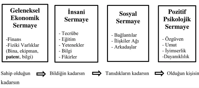 Şekil 1. Rekabetçi Avantaj İçin Genişleyen Sermaye Kavramı 