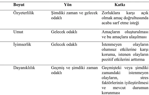 Tablo 7. Psikolojik Sermaye Boyutlarının Yönleri ve Katkıları 