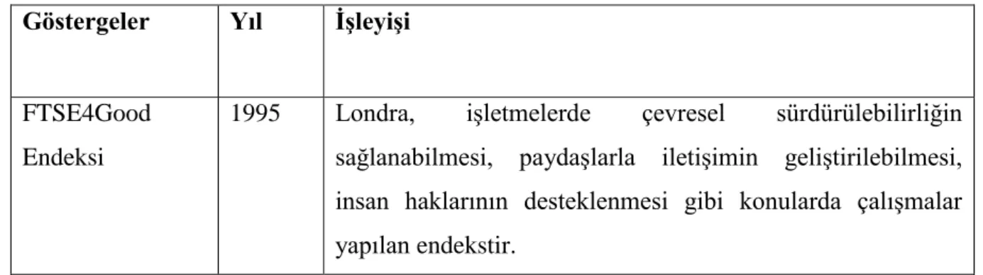 Tablo  6’da  dünyada  geliştirilmiş  bazı  sürdürülebilirlik  performans  göstergeleri  tarihleri ve işleyişleri ile birlikte gösterilmiştir