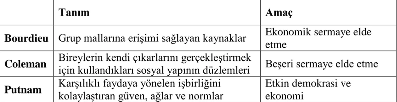 Tablo 1. Üç Araştırmacıya Göre Sosyal Sermaye Tanımı 