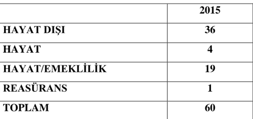 Tablo  1  de  görüldüğü  üzere  2015  yılı  sonu  itibariyle  Türkiye‟de  faaliyet  gösteren  sigorta Ģirketlerinin 36‟sı hayat dıĢı, 19‟u hayat ve emeklilik, 4‟ü hayat ve 1 tanesi reasürans  Ģirketidir