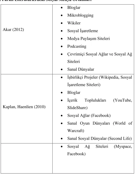 Tablo 4. Farklı Literatürlerdeki Sosyal Medya Ortamları 