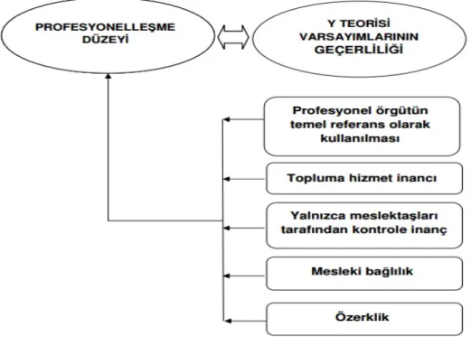 Şekil 6. Profesyonelleşme ve Y Teorisi 