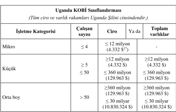 Tablo - 6: Uganda KOBİ Sınıflandırması 