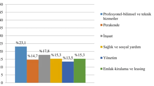 Şekil - 1: ABD’de Sayı Açısından Ön Plana Çıkan Sektörler 