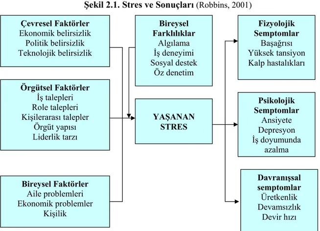 Şekil 2.1. Stres ve Sonuçları  (Robbins, 2001) 